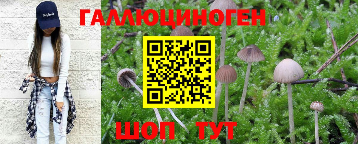 Тында  Псилоцибиновые грибы мухоморы  Галлюциногенные грибы MAGIC MUSHROOMS  Вход с VPN 