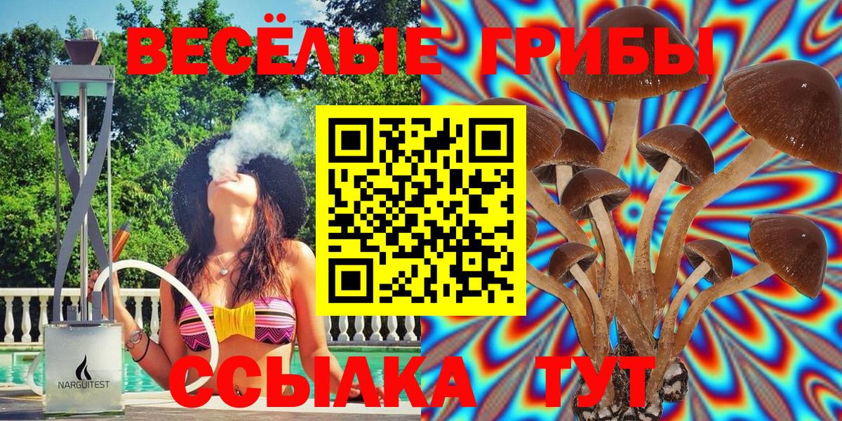 Галлюциногенные грибы мухоморы Тында